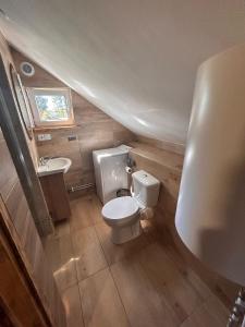a small bathroom with a toilet and a sink at Sioło Bobolin II in Bobolin +15 photos