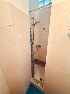 a shower in a bathroom with a tile wall at In centro dalla Maddy in Udine