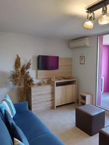 โทรทัศน์และ/หรือระบบความบันเทิงของ Appartement avec piscine Résidence AQUALIA