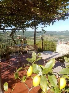 Billede fra billedgalleriet på Rooms Serafin i Motovun