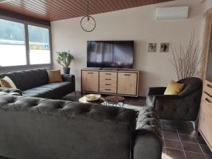 TV a/nebo společenská místnost v ubytování Pension Grenzeck Sommerfrische