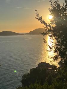 una puesta de sol sobre un cuerpo de agua con un árbol en La casina fra gli oleandri, en Zaneca
