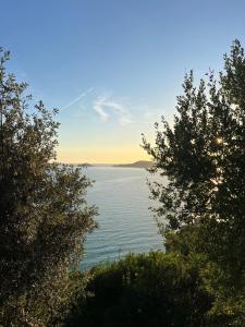 Una vista del océano desde entre dos árboles. en La casina fra gli oleandri, en Zaneca
