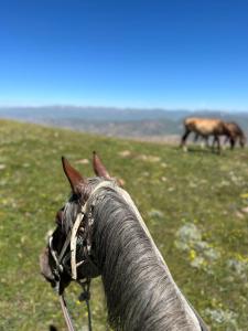 Gallery image of Yurt camp Asman at Song Kol lake in Akchiy +151 photos