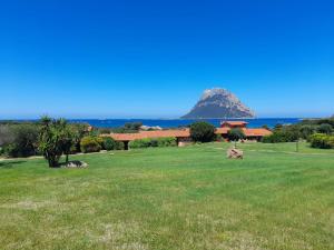 a green field with a mountain in the background at Casa Sardina in Costa Dorata