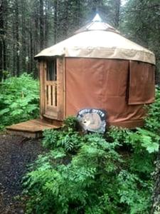 Zahrada ubytování Alaskan Glamping Yurt in Seward for an Eco-Adventure