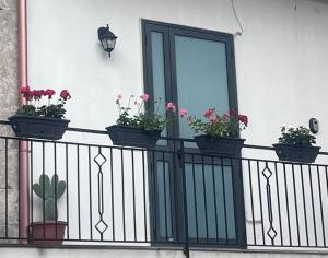 Balkón nebo terasa v ubytování La stanza Modicana