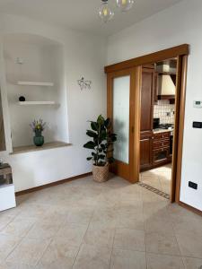 a kitchen with a door and a potted plant at Quo Vadis in Gorizia