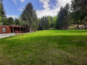 a large green yard with a building and trees at Modular Cuib de Vultur in Porumbacu de Sus