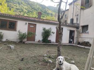 Φωτογραφία από το άλμπουμ του Molise Garden Apartments Renato σε Boiano