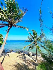 a view of the ocean from a beach with palm trees at Stunning beachfront 2 bedroom apartment in Mombasa