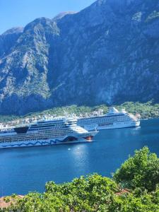 due navi da crociera in uno specchio d'acqua con montagne di Apartment Mirjana a Kotor (Cattaro)