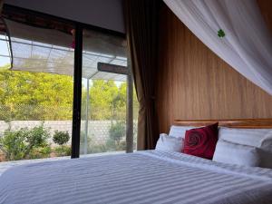 洞海Son House的相册照片