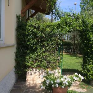 Zahrada ubytování B&B Topaze