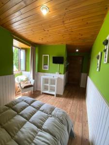 a bedroom with green walls and a large bed at Casa Rural Santa Mariña in Portomarin +33 photos