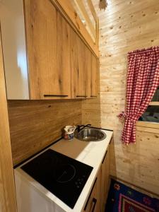 a small kitchen with a sink and a stove at Etno house in Mojkovac +25 photos