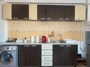a kitchen with a sink and a washing machine at Apartament Karina in Dudu