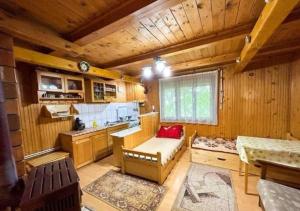 Billede fra billedgalleriet på Kinga s vakantie huis i Praid + 14 billeder