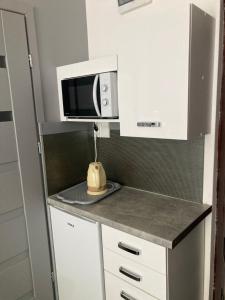 Kuchnia lub aneks kuchenny w obiekcie Leonia- Apartamenty i Pokoje Gościnne