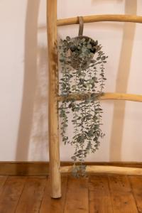 Fotografie z fotogalerie ubytování Spotaki 8 Agros v destinaci Agrós