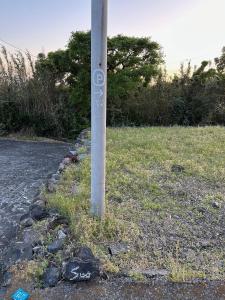 Κήπος έξω από το suo 椿の島の宿