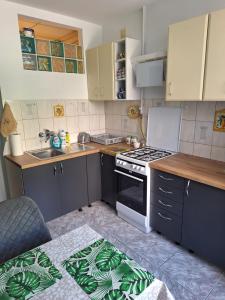 Η κουζίνα ή μικρή κουζίνα στο Apartament PodJasnoGórski