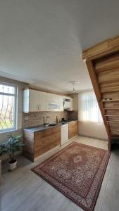 a large kitchen with a sink and a counter at Akçakoca Vineyard House Private Garden in Nature in Akcakoca +17 photos