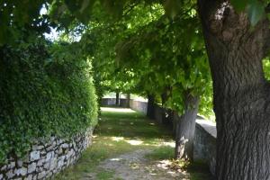 eine Reihe von Bäumen neben einer Steinmauer in der Unterkunft Ruhig gelegenes, mittelalterliches Steinhaus im Herzen der Altstadt von Corciano in Corciano + 32 Fotos