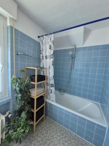 a blue tiled bathroom with a tub and a plant at Haus Bergblick in Olsberg +40 photos