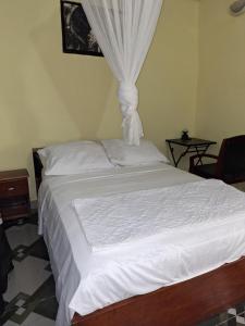 a bedroom with a white bed with a canopy at Kayfred2 in Freetown