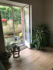 Zahrada ubytování Chambre d'hôtes SDB WC privés centre historique de Brioude Auvergne