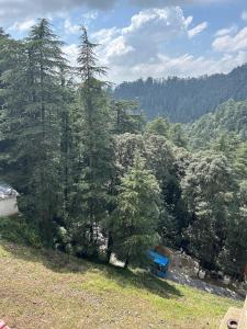 Kaisha Himalayan View في شيملا: حافلة زرقاء متوقفة بجوار غابة من الأشجار