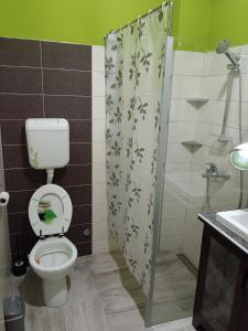 Un baño con inodoro y cortina de ducha. en Mili apartment, en Novi Sad 12 fotos más
