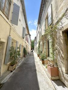 an alley with potted plants on the sides of buildings at Maison de Charme Centre Roquette, 3 chambres in Arles
