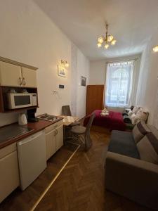 a small apartment with a kitchen and a living room at Velez Ház in Budapest