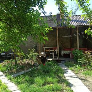 a garden with a house with a table and a ladder at Номер в Гостевом доме у моря in Odesa