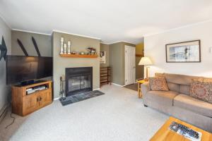a living room with a couch and a fireplace at Arena in North Creek