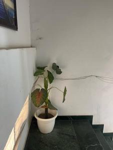Postel nebo postele na pokoji v ubytování Hotel Lagoon Inn - Malviya Nagar
