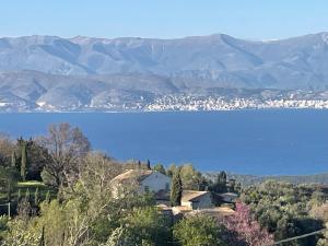 a view of a lake with mountains in the background at Tritzi house in Mesochórion +19 photos