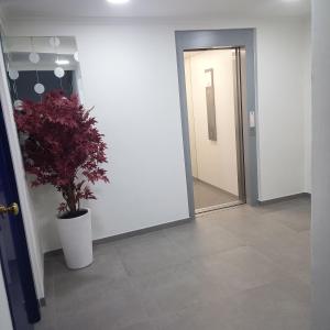 Galería fotográfica de Apartamentos Xulia en Raxo 40 fotos más