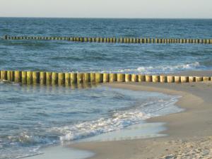a beach with a wooden pier in the water at Küstenwind in Graal-Müritz