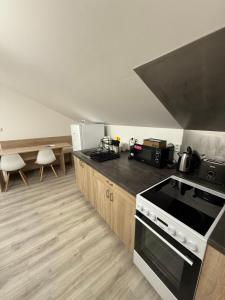 a kitchen with a stove and a counter top at Apartments 4 Valečov-Zásadka 7 in Mnichovo Hradiště