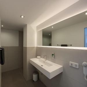 a bathroom with a sink and a mirror at Landhaus Chica in Salzgitter