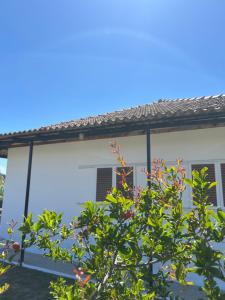 ein weißes Haus mit einem Baum davor in der Unterkunft Cielo Mar in Mólos