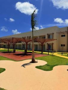 a palm tree in front of a building at Pipa Privilege Ocean in Pipa
