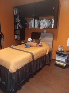 a woman laying on a bed in a room at Depa amueblado y Bonita in Buenavista