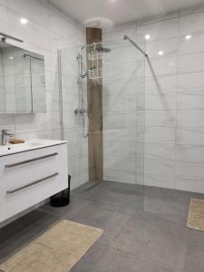 Sankt Michael ob BleiburgAppartements und Vinoteka DAVID的带玻璃淋浴和水槽的浴室