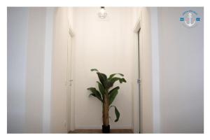 a plant in a vase in the corner of a room at Ostia Holiday La Dolce Sosta Executive in Lido di Ostia +2 photos