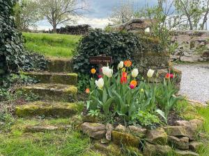 Gîte L'instant Vosges外面的花园
