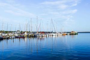 a bunch of boats are docked in the water at Ferienwohnung Plogmann - Residenz Bernstein WHG 39 in Rerik